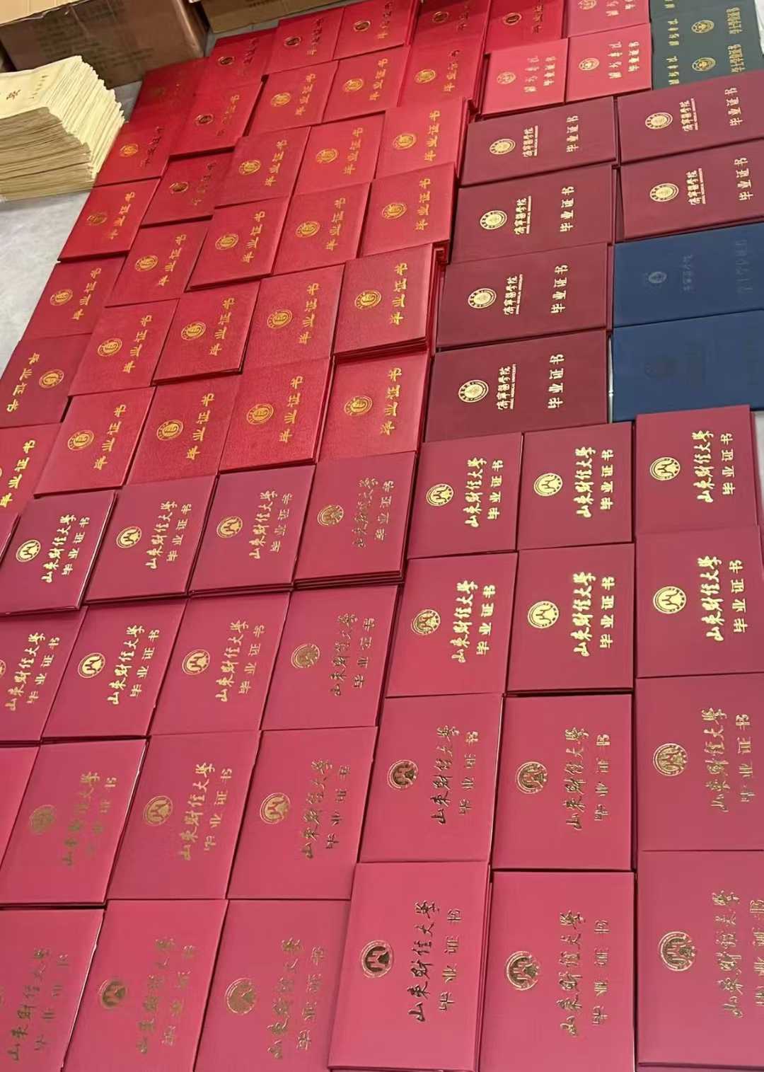 毕业证书成批摆放照片